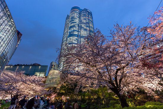 Colline di Roppongi